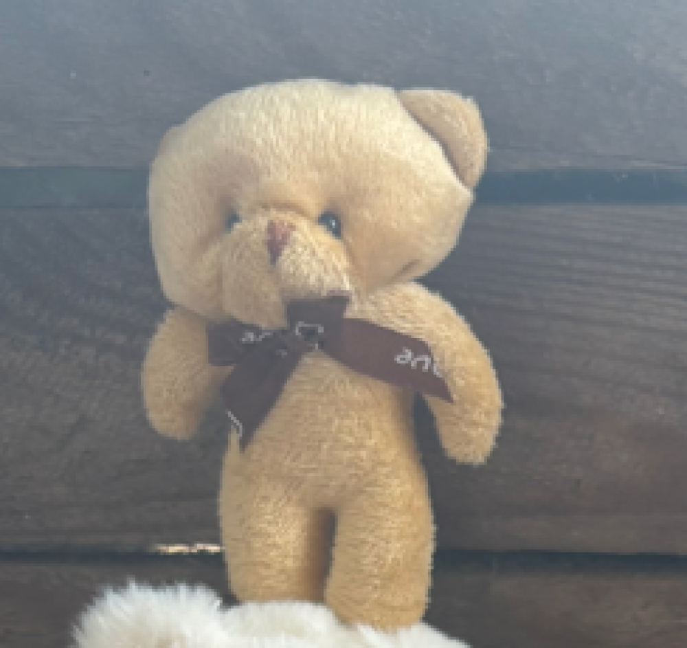 Mini Bear