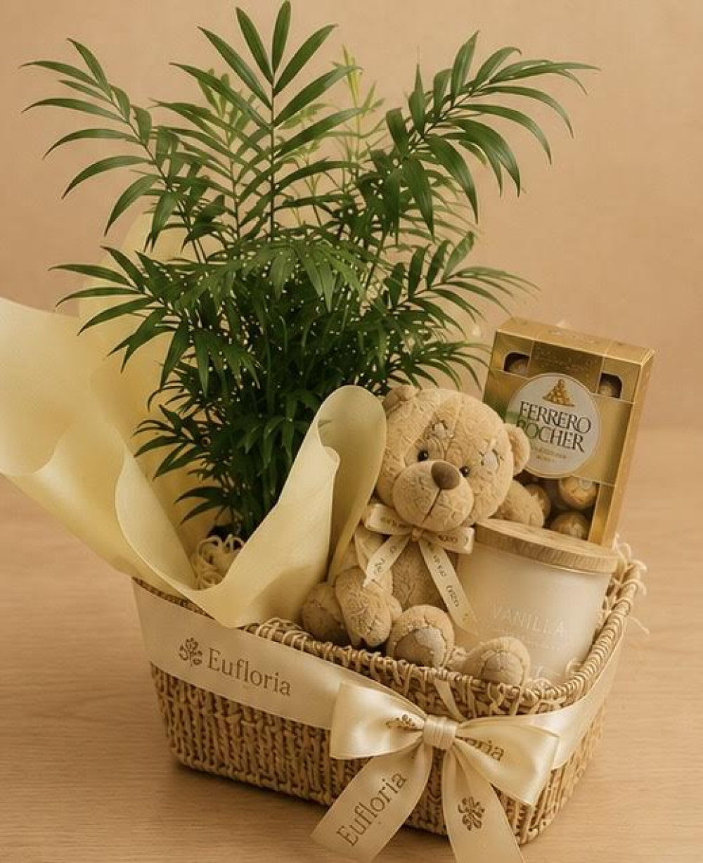 Palm Plant Gift Set