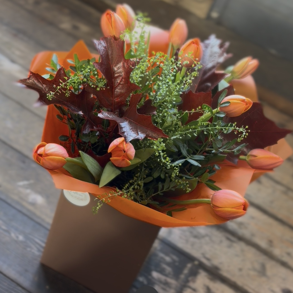 Autumn Tulips